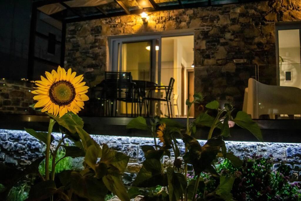 Apartmán Istron Avra Kalo Chorio  Exteriér fotografie